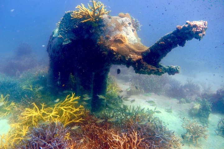 Discover Scuba Diving at Koh Kood — Beginner Reef Dives from Ko Kut photo 2