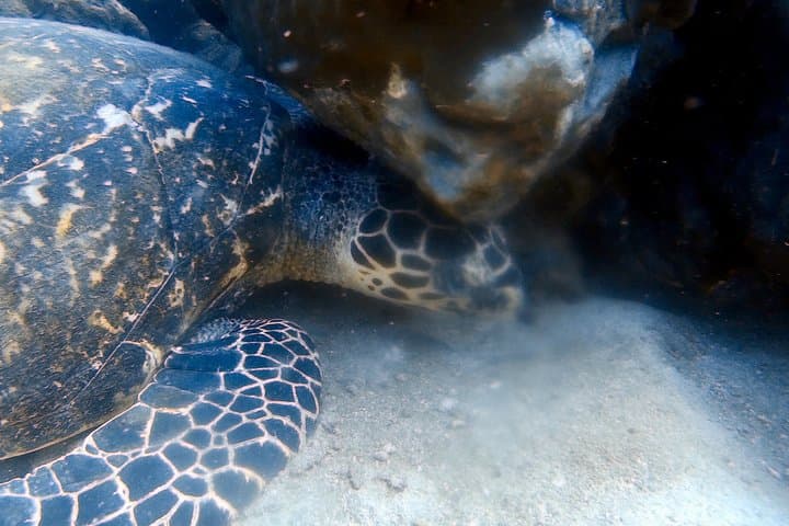 Discover Scuba Diving at Koh Kood — Beginner Reef Dives from Ko Kut photo 5