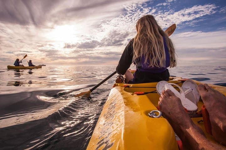 Sea Kayak from Simon's Town: Paddle to Boulders Beach Penguins