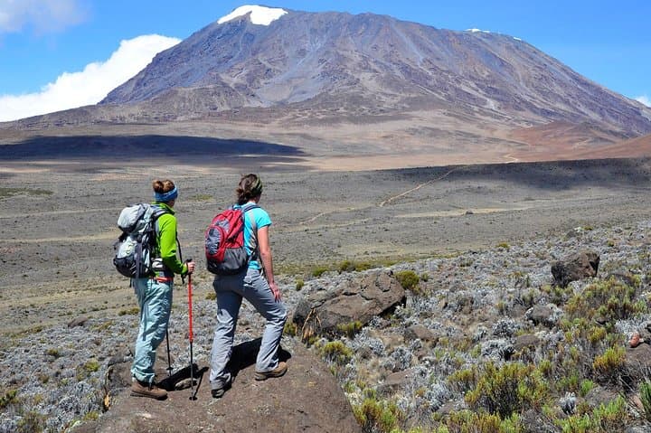 Conquer Kilimanjaro: 7-Day Umbwe Route Climb to Uhuru Peak photo 6