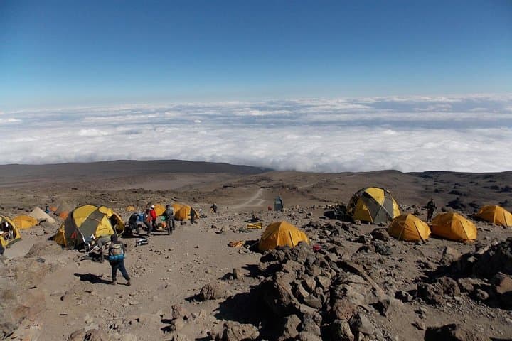 Summit Kilimanjaro via the Machame Route: 8-Day Guided Ascent to Uhuru Peak photo 3