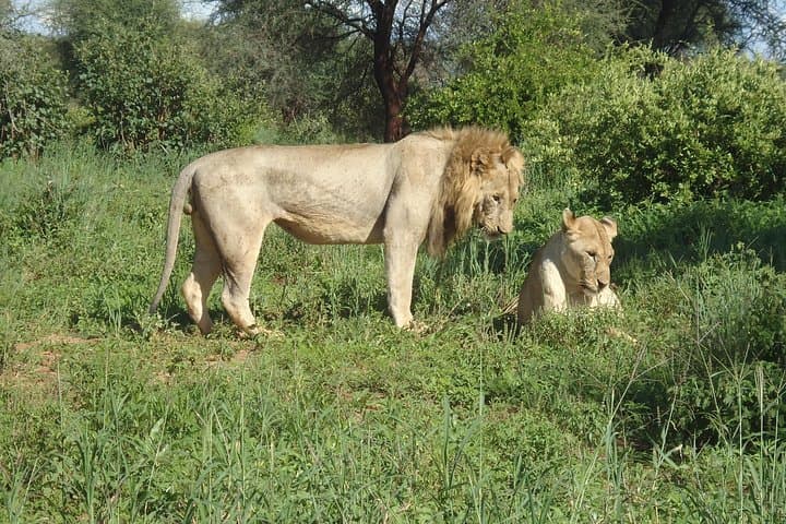 Budget 4-Day Group Safari: Serengeti, Ngorongoro & Tarangire photo 6