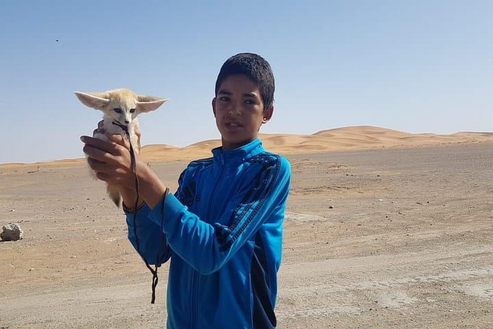 7-Day Morocco: Casablanca to Sahara Camel Trek & Imperial Cities photo 5