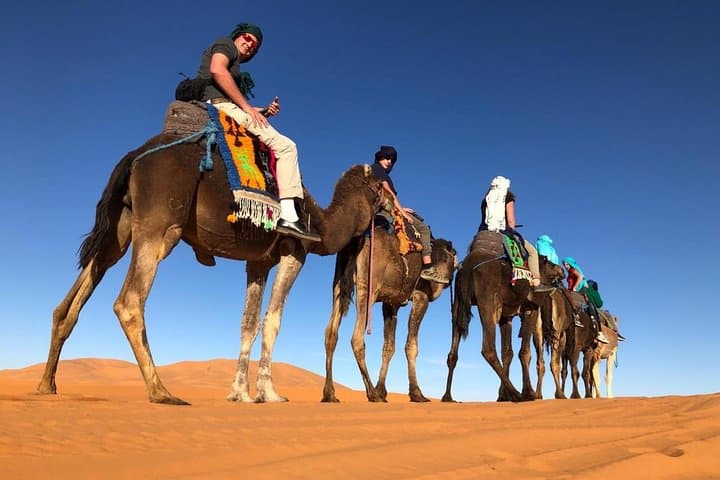 7-Day Morocco: Casablanca to Sahara Camel Trek & Imperial Cities