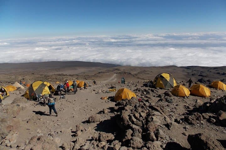 Rongai Route: 7-Day Kilimanjaro Trek from Moshi to Uhuru Peak photo 5