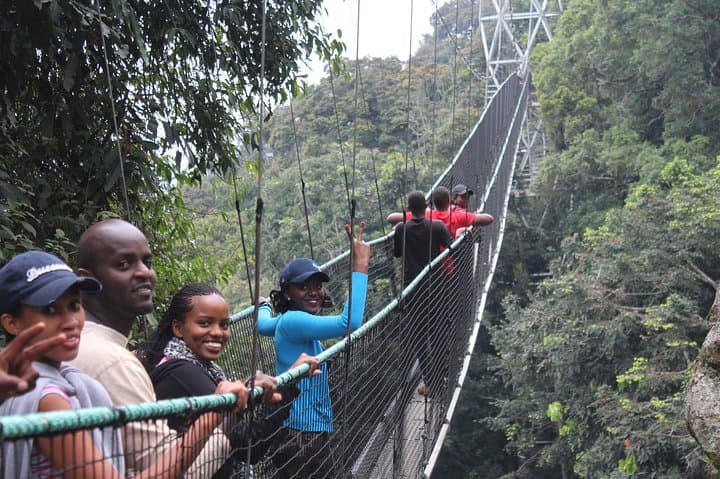 4-Day Rwanda Gorilla Trek, Chimp Tracking & Lake Kivu Escape photo 2