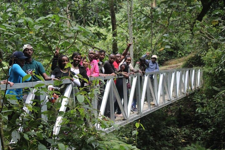 4-Day Rwanda Gorilla Trek, Chimp Tracking & Lake Kivu Escape photo 4