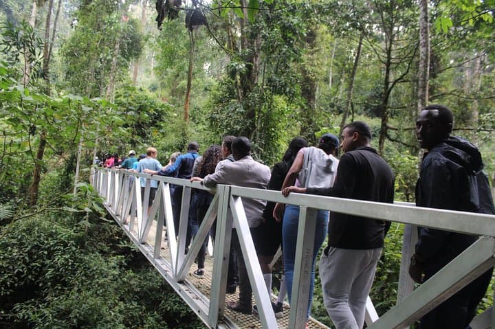 4-Day Rwanda Gorilla Trek, Chimp Tracking & Lake Kivu Escape photo 5