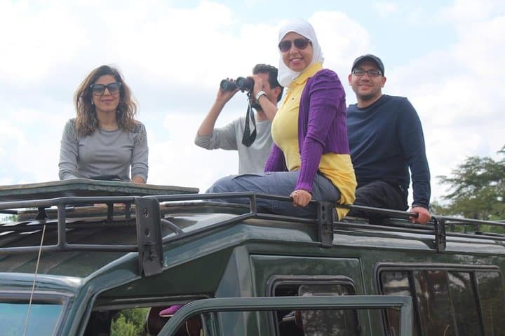4-Day Rwanda Gorilla Trek, Chimp Tracking & Lake Kivu Escape photo 6