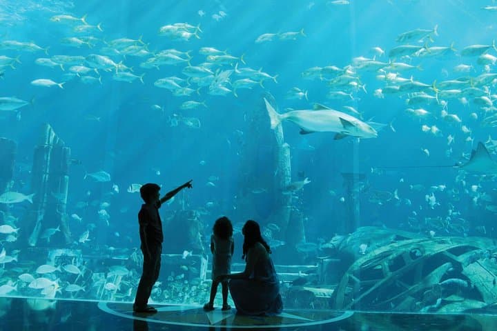 Aquaventure and Lost Chambers: Dubai’s Waterpark and Aquarium Combo photo 5