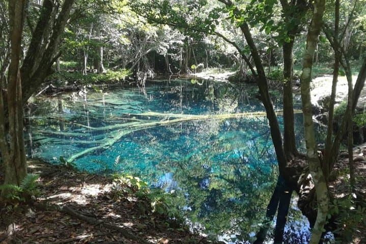Punta Cana Hoyo Claro Cenote and Juanillo Beach Half-Day Private Tour photo 5