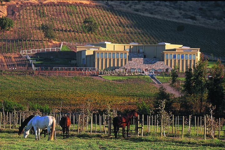 Maipo Valley Wine Tour: Santa Rita & Haras de Pirque Private Experience photo 2
