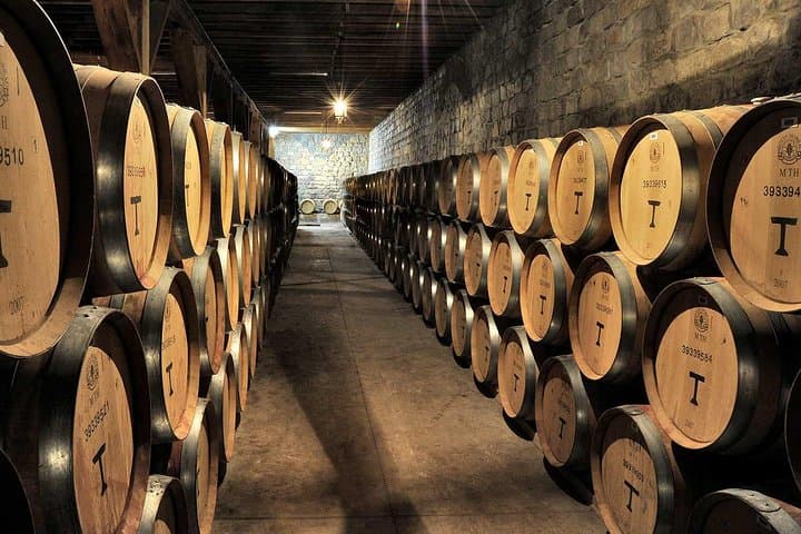 Maipo Valley Wine Tour: Santa Rita & Haras de Pirque Private Experience photo 4