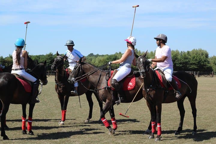 Ride and Swing: Polo Lessons at Ranelagh Farm Polo Club, Windsor photo 4