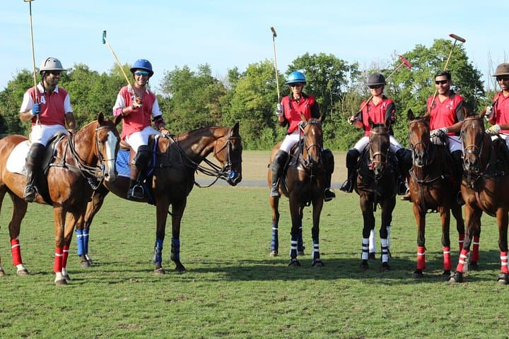 Ride and Swing: Polo Lessons at Ranelagh Farm Polo Club, Windsor photo 5