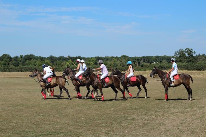 Ride and Swing: Polo Lessons at Ranelagh Farm Polo Club, Windsor photo 6