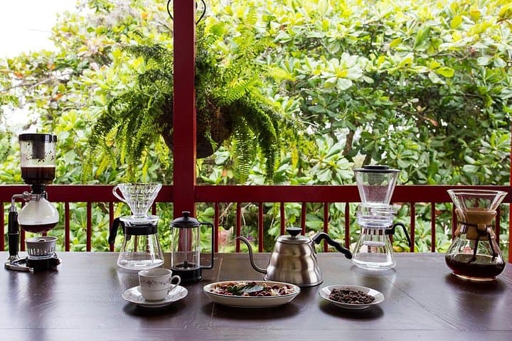 Hacienda Coffee Tour: Seed-to-Cup Experience Near Armenia, Colombia
