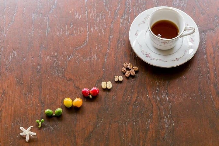 Hacienda Coffee Tour: Seed-to-Cup Experience Near Armenia, Colombia photo 2