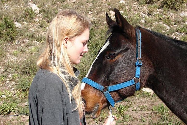 Equine Coaching in Buenos Aires: Confidence Workshops with Gentle Horses photo 6