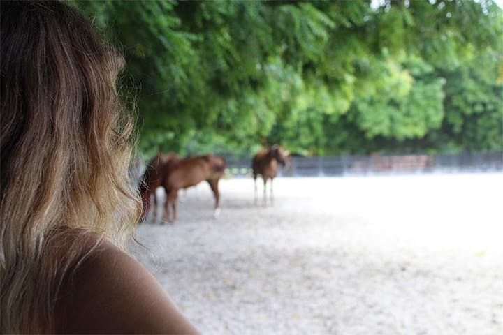 Equine Coaching in the Dominican Republic: Non-Riding Horse-Assisted Personal Development photo 6