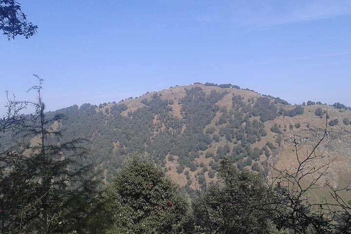 Trek to Benog Tibba: Day Hike from Cloud's End in Mussoorie