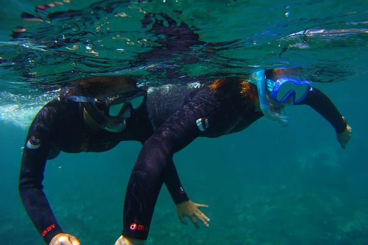 Snorkel with Sea Turtles & Stingrays at Tenerife’s Malpais de Rasca photo 6