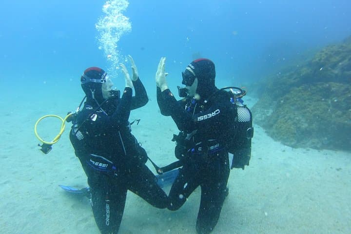 First-Time Scuba Diving in Tenerife: Volcanic Reefs & Free Photos photo 3
