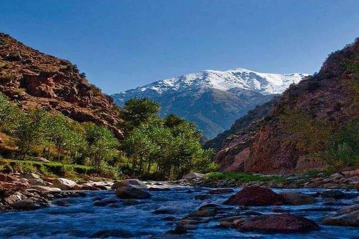 Ourika Valley Day Trip: Setti Fatma Waterfalls, Berber Villages & Argan Cooperatives from Marrakech photo 1