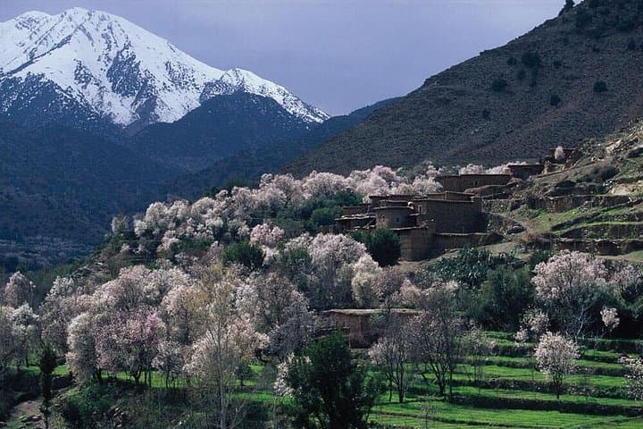 Ourika Valley Day Trip: Setti Fatma Waterfalls, Berber Villages & Argan Cooperatives from Marrakech photo 2