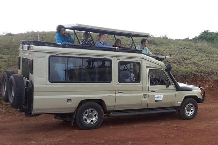 Mikumi National Park 2-Day Safari – Game Drives on the Mkata Floodplain