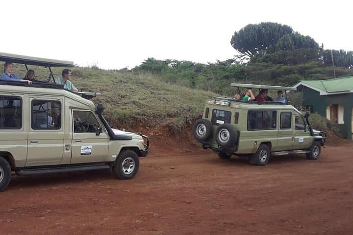 Mikumi National Park 2-Day Safari – Game Drives on the Mkata Floodplain photo 2