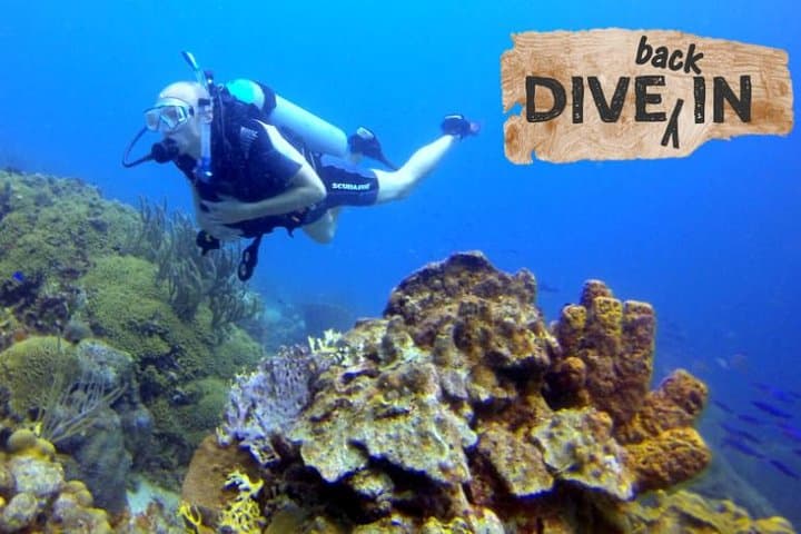 Curacao Refresher Dive: Rediscover the House Reef and Scuba Skills