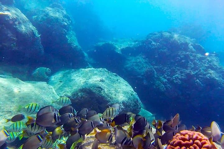 Beginner Scuba Diving at Magic Island, Honolulu — Guided Intro with Video photo 5