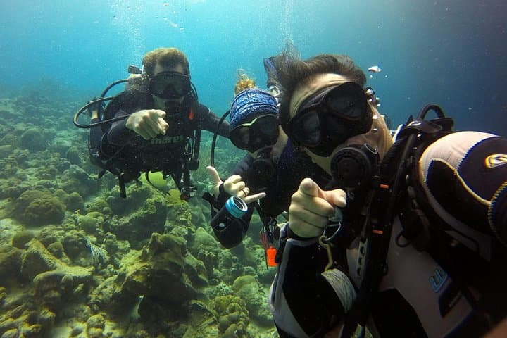 Two-Tank Guided Shore Dive at Pierbaai Reef & Car Pile — Curaçao