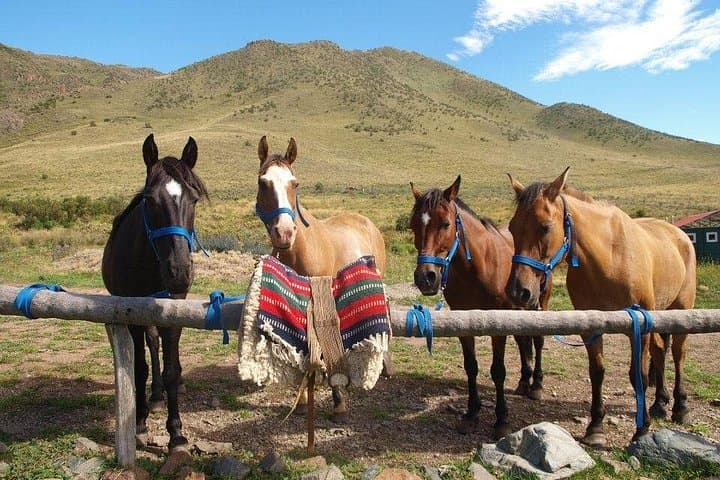 Uco Valley Horseback Riding Tour with Traditional Argentine Asado from Mendoza photo 4