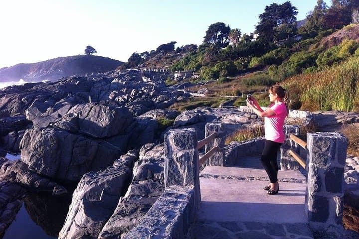 Zapallar Walking & Penguin Watching Day Trip from Valparaíso photo 4