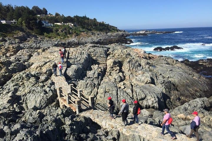 Zapallar Walking & Penguin Watching Day Trip from Valparaíso photo 3