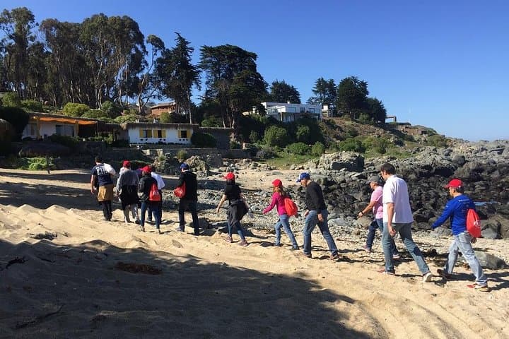 Zapallar Walking & Penguin Watching Day Trip from Valparaíso photo 6