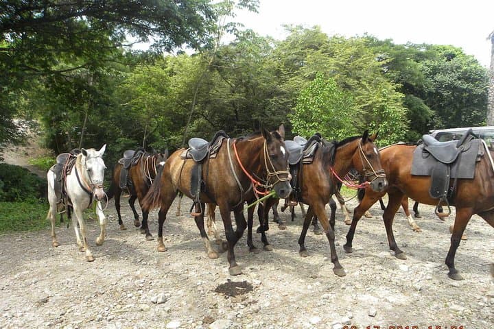 Buena Vista MEGA COMBO: Zipline, Jungle Waterslide, Horseback & Hot Springs — Day Tour from Tamarindo photo 5