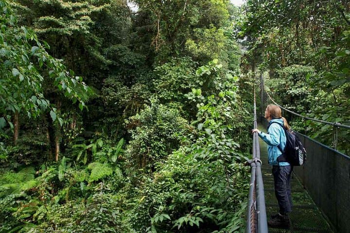 Arenal Hanging Bridges, La Fortuna Waterfall & 1968 Lava Flow Hike — Full-Day Combo photo 2