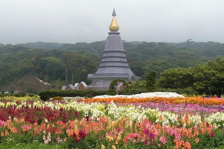 Explore Doi Inthanon: Thailand's Highest Peak Day Tour from Chiang Mai photo 4