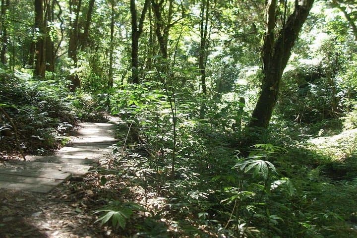 Explore Doi Inthanon: Thailand's Highest Peak Day Tour from Chiang Mai photo 6