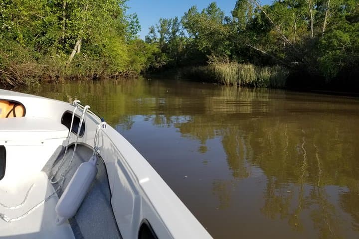 Private Tigre Delta Boat Tour from Buenos Aires — Puerto de Frutos & Quiet Channels