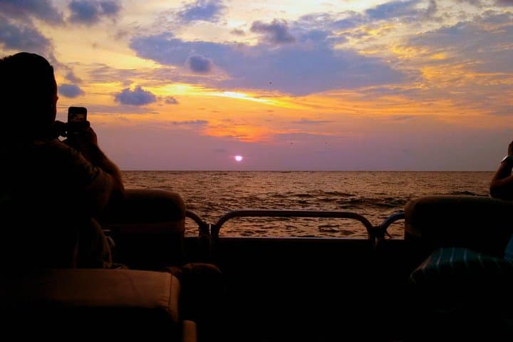 St. Pete Beach Sunset Cruise: Semi-Private 2-Hour Dolphin & Canal Tour photo 6
