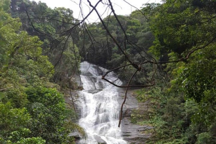 Tijuca Forest & Rio Botanical Garden Private Tour — Vista Chinesa to Taunay Waterfall photo 1