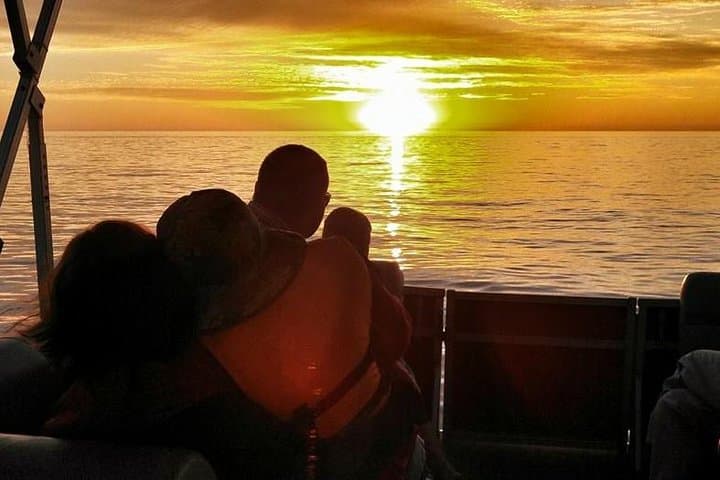 St. Pete Beach Sunset Cruise: Semi-Private 2-Hour Dolphin & Canal Tour photo 3