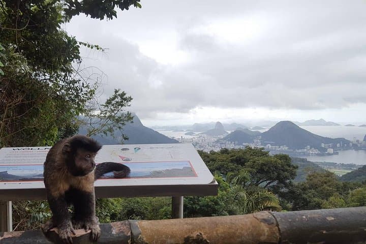 Tijuca Forest & Rio Botanical Garden Private Tour — Vista Chinesa to Taunay Waterfall photo 3