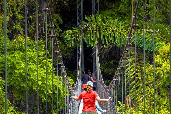 Mistico Arenal Hanging Bridges: Self-Guided Rainforest Walk Near La Fortuna photo 2