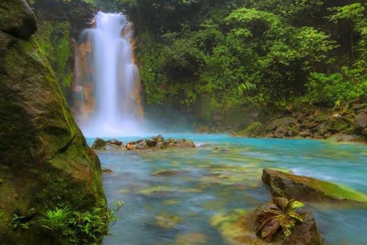 Rio Celeste & Tenorio Volcano: Full-Day Hike from La Fortuna photo 5