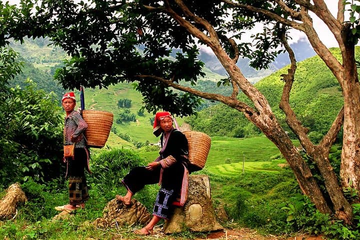 Sapa Easy Trekking Tour: Rice Terraces, Ta Phin Cave & Hill-Tribe Villages photo 1